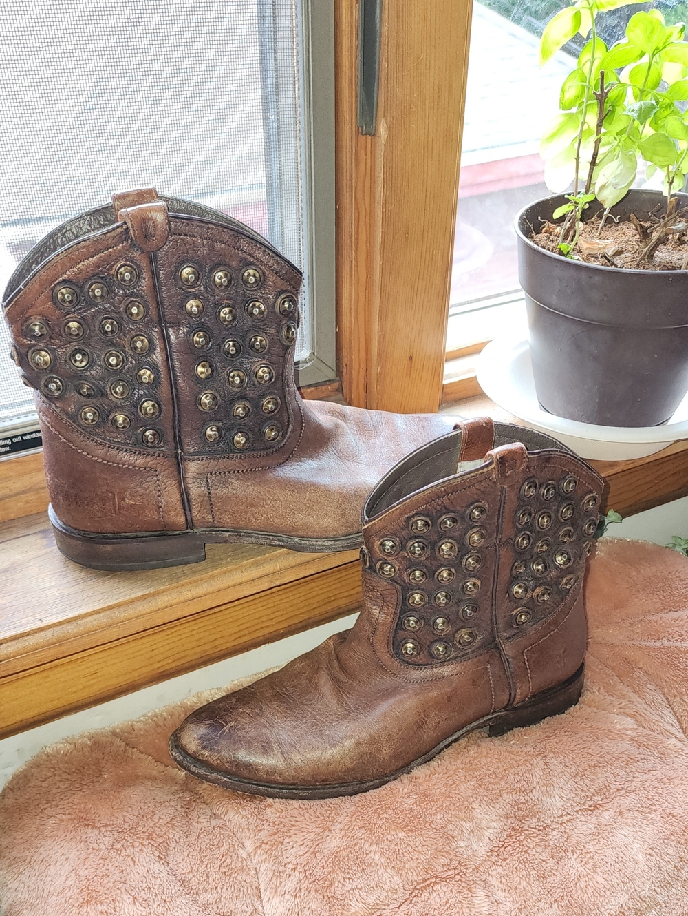 Frye Brown Leather Boot Interior with Branded Pull Tab